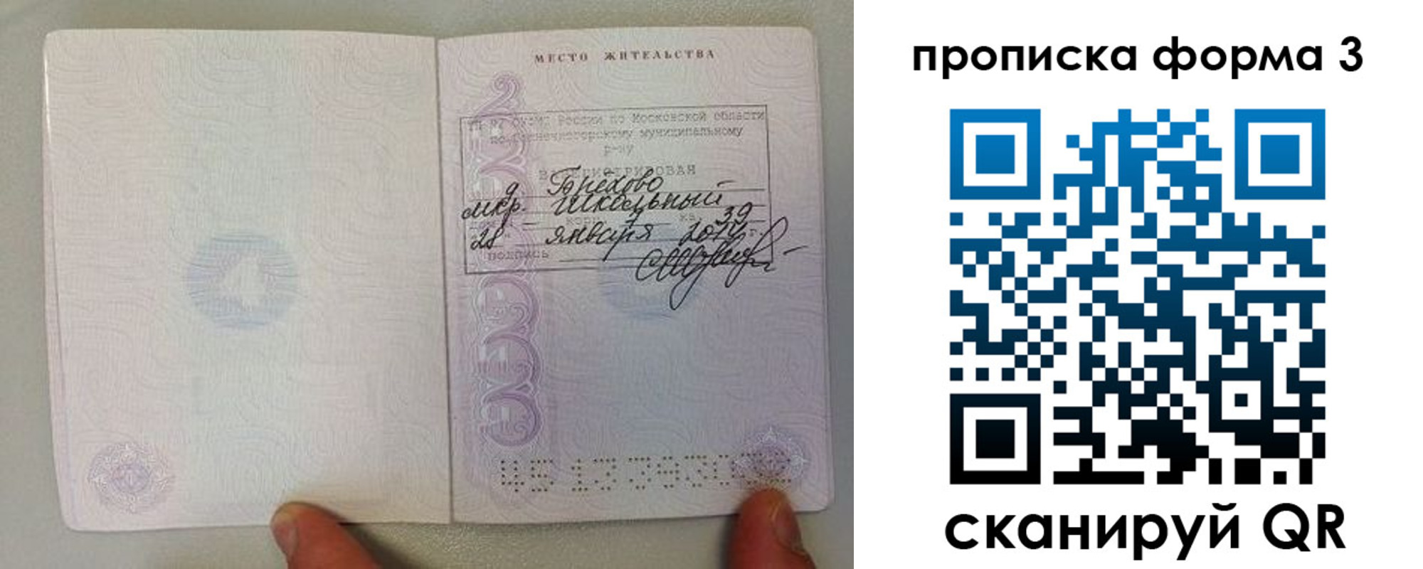 прописка гарантия в Долгопрудном